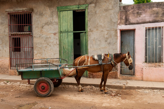 Trinidad, Cuba. An old horse in the streets of Trinidad.