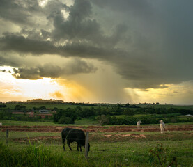 Storm clouds, dark sky, dark storm clouds