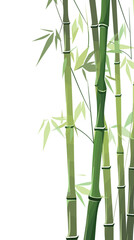 Obraz premium Green bamboo stalks and leaves on a white background flat vector illustration