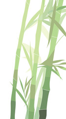 Green bamboo stalks and leaves on white background flat vector illustration