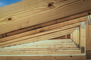 Roofing support trusses arranged as a triangulated system of straight interconnected lumber pieces....