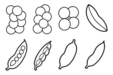 Soybean Varieties Collection Isolated on White
