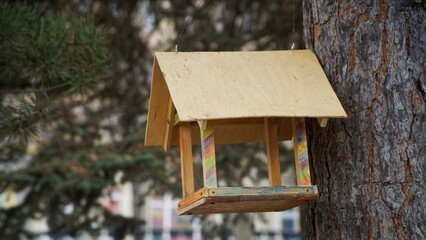A handmade wooden bird feeder hanging on a pine tree in an urban park; perfect for illustrating bird feeding, urban wildlife care, and eco‑friendly conservation projects. Photo