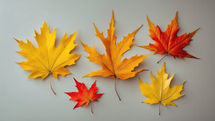 Fototapeta premium Vibrant autumn leaves in various bright colors