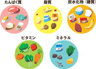 五大栄養素セット　線なし