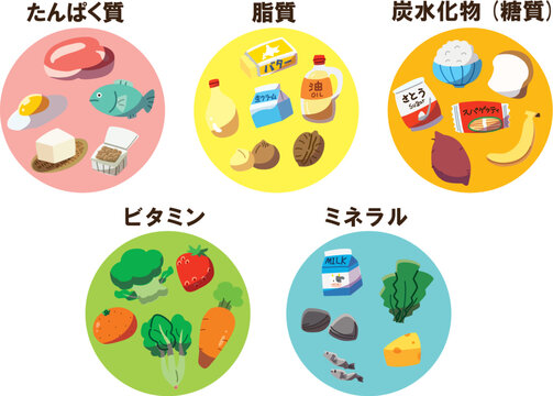 五大栄養素セット　線なし