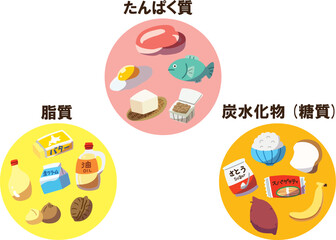 三大栄養素　線なし