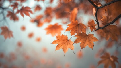 Warm-Hued Oak Branch with Dry Leaves. Leaf Background. Colorful Leaves.