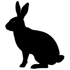 Rabbit isolated on white background