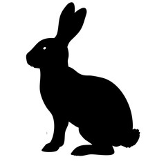 Rabbit isolated on white background