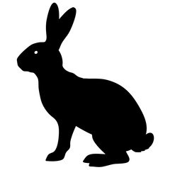 Rabbit isolated on white background