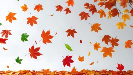 Falling leaves autumn banner on a white background.