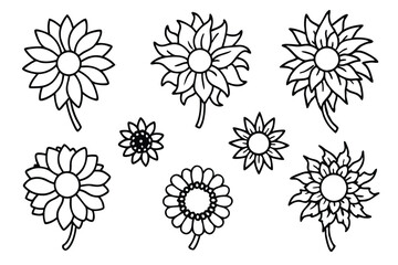 Different Types of Sunflowers Vector Art
