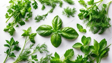 Obraz premium Fresh green kitchen herbs collection: parsley, basil, dill, and mint. Creative layout against background. Flat lay. Element of design. Healthy eating and dieting idea.