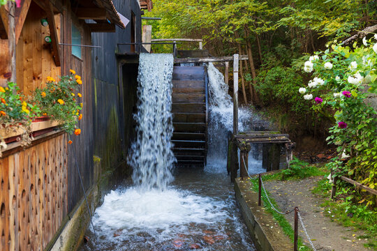 Romania, Transylvania, Fagaras. Ohaba. Oldest grist mill with water wheel. The miller and wife.