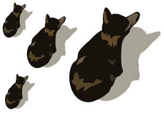 Vector image of a silhouette of a cat on a white background.