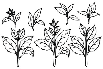 Organic Plant Vector Icons