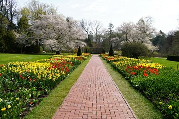 A brick path winds through a vibrant display of tulips and daffodils in a meticulously maintained...