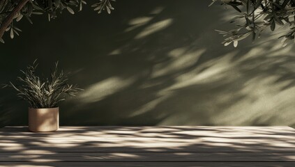 Green wall, sunlight, plant