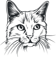 Obraz premium A detailed line art illustration of a cat's face showcasing its expressive features and fur.