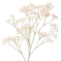 vector illustration of a floral background