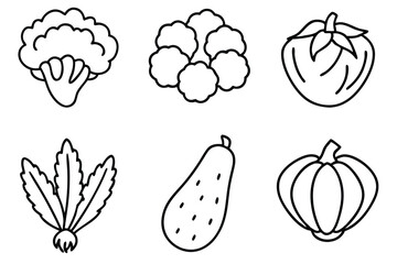 Vegetable Freezing Techniques Set