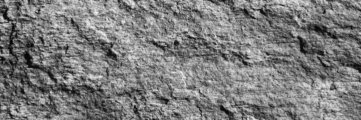 A close up of a rough, cracked rock surface with earthy gray. The natural texture and weathered details make it ideal for backgrounds, geology themes, and organic material references.