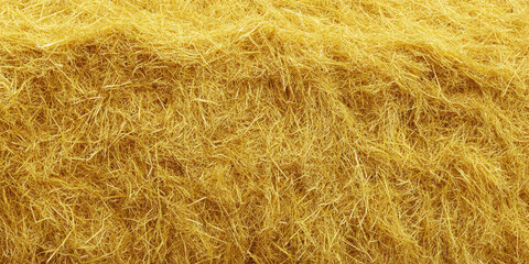 Fototapeta premium dry yellow hay grass background, grass, dry, hay, yellow, background