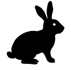 cute rabbit isolated on white background