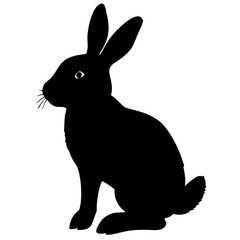 cute rabbit isolated on white background