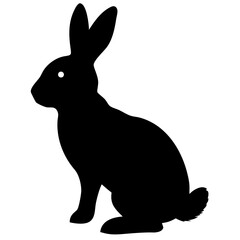 cute rabbit isolated on white background