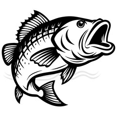 Large mouth bass fish isolated on white background