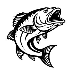 Fototapeta premium Large mouth bass fish isolated on white background
