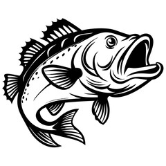 Large mouth bass fish isolated on white background