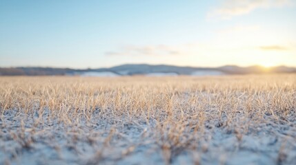 Sunlit field at dawn tranquil nature landscape background image