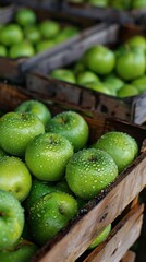 Fresh green apples in wooden crates at a market