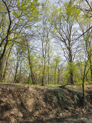 Obraz premium Spring Landscape of South Park in city of Sofia, Bulgaria