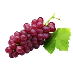 Fototapeta premium Ruby Roman Grapes on transparent background