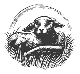 Engraving of a Relaxed Sheep Resting on Grass in Nature Scene