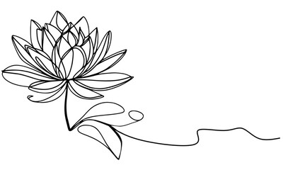 vector illustration of lotus flower
