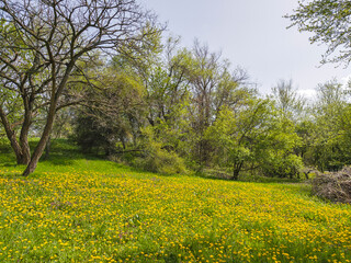 Spring Landscape of South Park in city of Sofia, Bulgaria