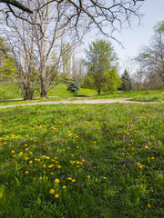 Obraz premium Spring Landscape of South Park in city of Sofia, Bulgaria