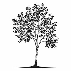 Tree Silhouette: Minimalist Black and White Botanical Art Capturing Lush Foliage and Natural Serenity for Seasonal Scenic Decoration