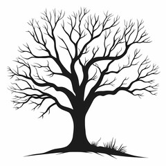 Obraz premium Monochrome Silhouette of Bare Tree Branches. Artistic Black and White Nature Design