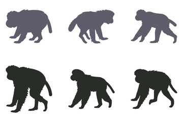 Siamang Silhouette Icon Set. Animal Illustration Design