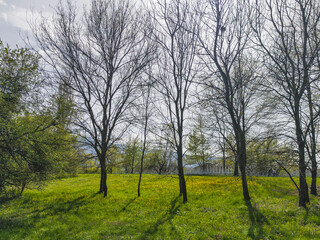 Obraz premium Spring Landscape of South Park in city of Sofia, Bulgaria