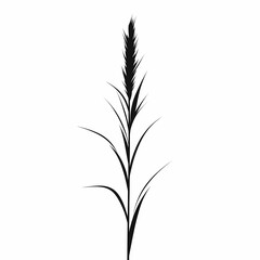 Monochrome Silhouette of Tallgrass in Natural Prairie Landscape - Botanical and Organic Beauty