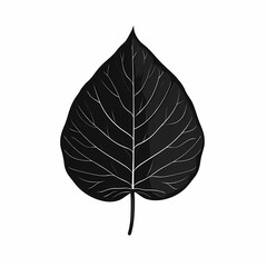 Black Leaf Silhouette. Minimalist Botanical Art for Modern Eco-Friendly Design