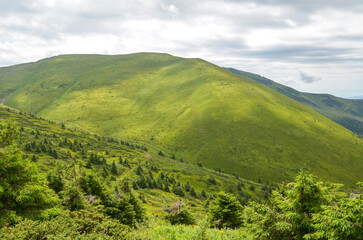 Breathtaking landscape featuring smooth green hills, dense forest, and an overcast sky. Ideal for...