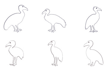 Vulture Bird Outline Icon Set. Animal Illustration Design